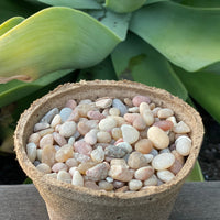 Premium Pebbles - Coral Sea Top Dressing (Order Separately)
