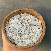 Premium Pebbles - White Coral Top Dressing (Order Separately)