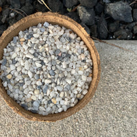 Premium Pebbles - White Coral Top Dressing (Order Separately)