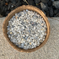 Premium Pebbles - White Coral Top Dressing (Order Separately)