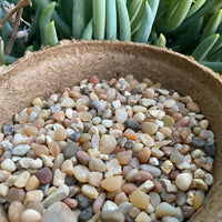 Premium Pebbles - Coral Sea Top Dressing (Order Separately)