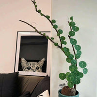 a cat peeking out from behind a potted plant