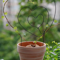 a potted plant with a heart shaped wire decoration