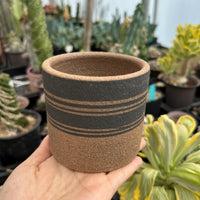A hand is holding a brown and black striped ceramic cup in a greenhouse filled with various potted plants.