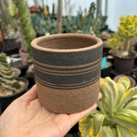 A hand is holding a brown and black striped ceramic cup in a greenhouse filled with various potted plants.