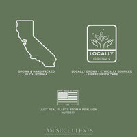 The image is a collage of three images: a map of California, a logo for locally grown and ethically sourced plants, and a logo for a nursery that sells real plants from a real USA nursery.