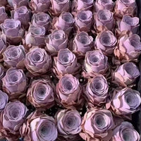 a large number of purple roses arranged in rows, creating a visually appealing display.