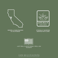The image is a collage of three images: a map of California, a logo for locally grown plants, and a logo for ethically sourced plants.