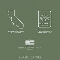 The image is a collage of three images: a map of California, a logo for locally grown plants, and a logo for ethically sourced plants.