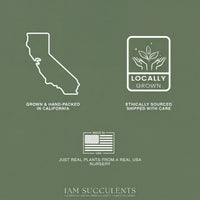 The image is a collage of three images: a map of California, a logo for locally grown plants, and a logo for ethically sourced plants.