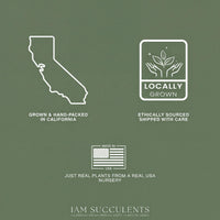 The image is a collage of three images: a map of California, a logo for locally grown plants, and a logo for ethically sourced plants.