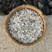 Premium Pebbles - White Coral Top Dressing (Order Separately)