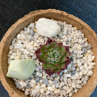 Premium Pebbles - China Green Top Dressing (Order Separately)