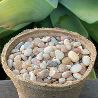 Premium Pebbles - Coral Sea Top Dressing (Order Separately)