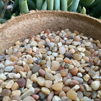 Premium Pebbles - Coral Sea Top Dressing (Order Separately)