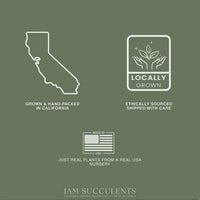 The image is a collage of three images: a map of California, a logo for locally grown and ethically sourced plants, and a logo for a nursery that sells real plants from a real USA nursery.