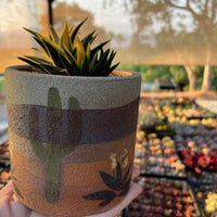 Pot - 4” Handmade decorated pottery “desert scene planter” (Order Separately)