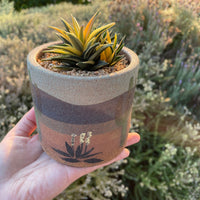 Pot - 4” Handmade decorated pottery “desert scene planter” (Order Separately)
