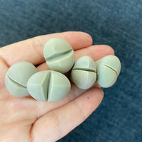 Rare Succulents - Lithops Dinteranthus Schwantes (0.8”)