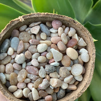 Premium Pebbles - Coral Sea Top Dressing (Order Separately)