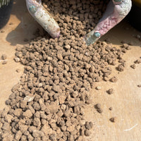 Premium Pebbles - Japanese Akadama (Order Separately)