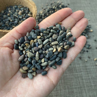 Premium Pebbles - Black Pearl Top Dressing (Order Separately)