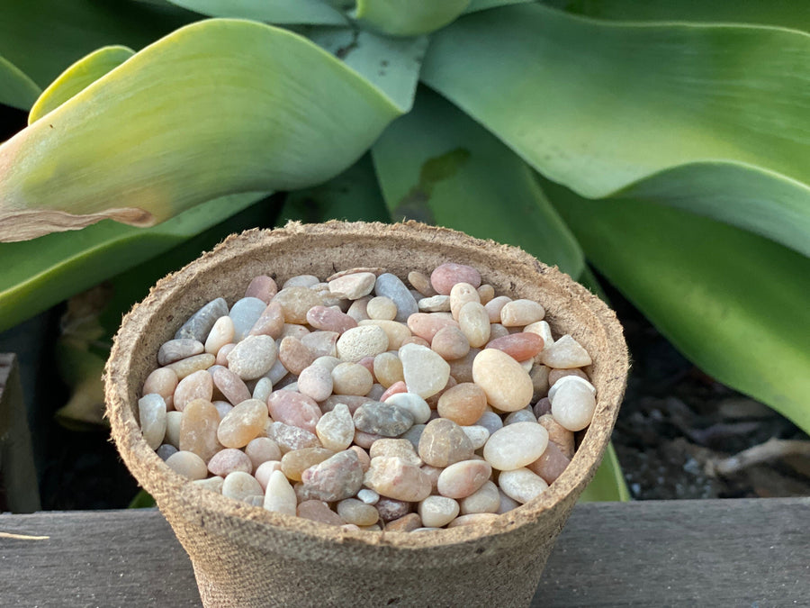 Premium Pebbles - Coral Sea Top Dressing (Order Separately)