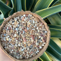 Premium Pebbles - Coral Sea Top Dressing (Order Separately)