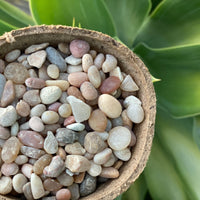 Premium Pebbles - Coral Sea Top Dressing (Order Separately)