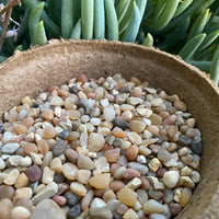 Premium Pebbles - Coral Sea Top Dressing (Order Separately)