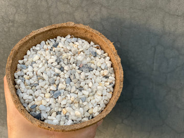 Premium Pebbles - White Coral Top Dressing (Order Separately)