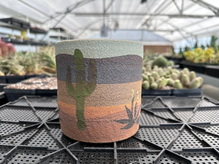 Pot- Handmade Decorated Pottery 'desert scene planter' (5”-6”)