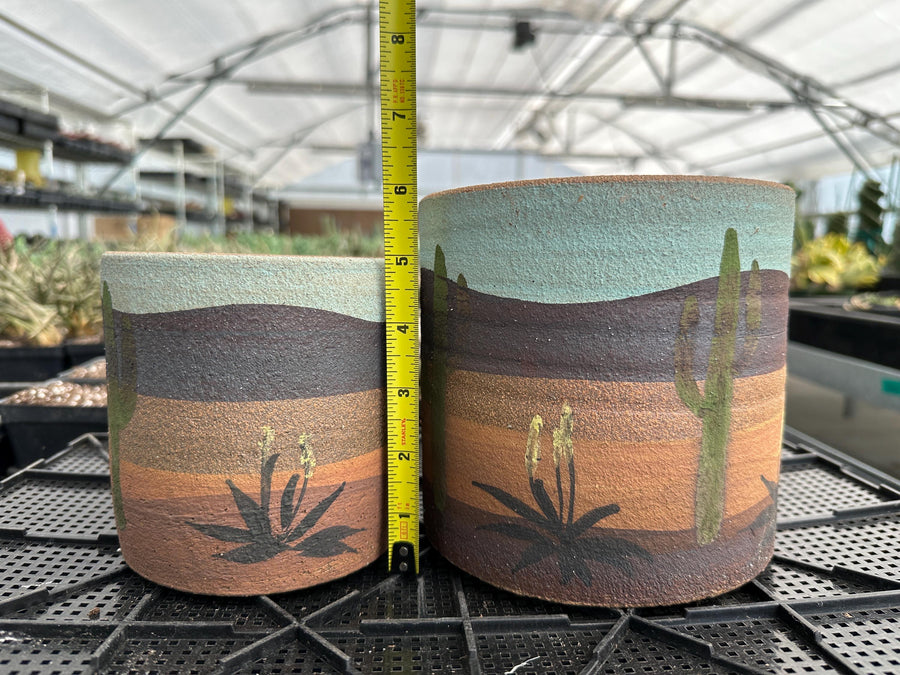 Pot- Handmade Decorated Pottery 'desert scene planter' (5”-6”)