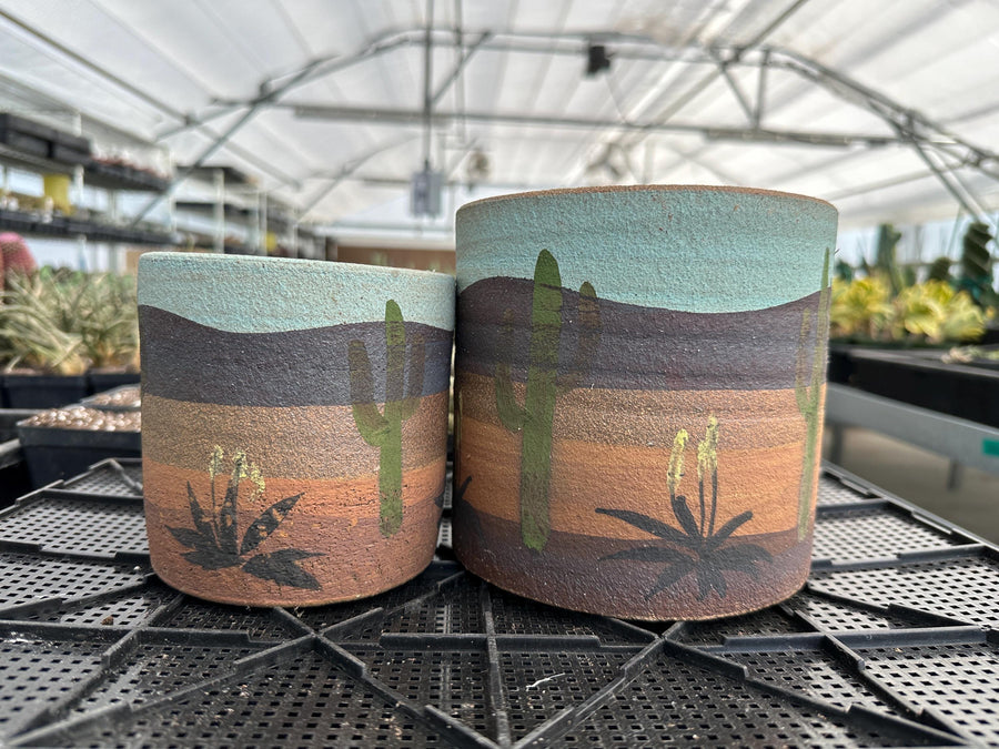 Pot- Handmade Decorated Pottery 'desert scene planter' (5”-6”)