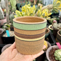 Pot- Handmake Decorated Pottey “Columns” (4”-6”)