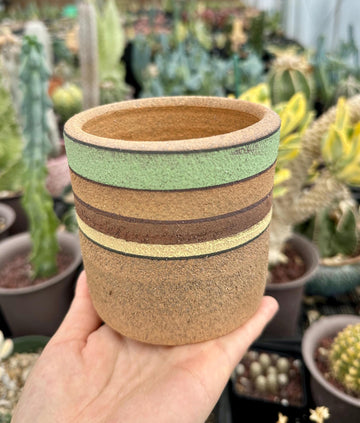 Pot- Handmake Decorated Pottey “Columns” (4”-6”)