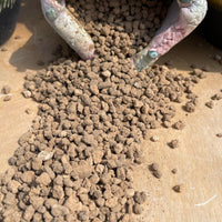Premium Pebbles - Japanese Akadama (Order Separately)
