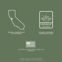 The image is a collage of three images: a map of California, a logo for locally grown plants, and a logo for ethically sourced plants.