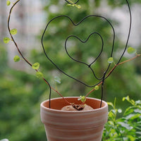 a potted plant with a heart shaped wire decoration
