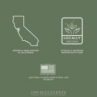 The image is a collage of three images: a map of California, a logo for locally grown plants, and a logo for ethically sourced plants.