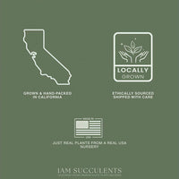 The image is a collage of three images: a map of California, a logo for locally grown plants, and a logo for ethically sourced plants.