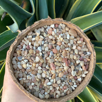Premium Pebbles - Coral Sea Top Dressing (Order Separately)