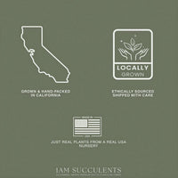 a map of the state of california