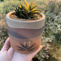 Pot - 4” Handmade decorated pottery “desert scene planter” (Order Separately)